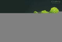 洗澡刷ic卡水表洛陽水管家牌智能感應卡水控機_安全防護_世界工廠網中國產品信息庫