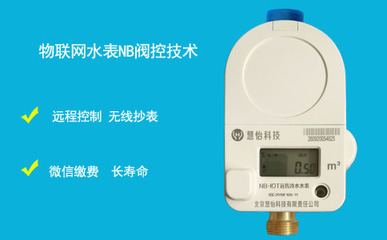 99元與399元物聯網智能水表 價格差異背后的技術與服務詳解
